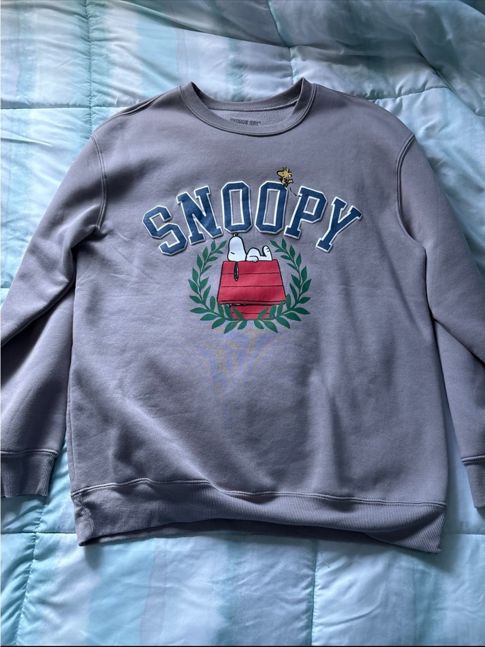 Peanuts Hybrid Crewneck Sweatshirt - Light Gray
